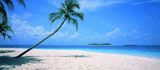 indian beach