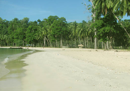 Long Island Lalaji Bay Beach Andaman