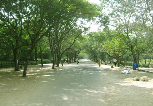 Arinjar Anna Zoological Park