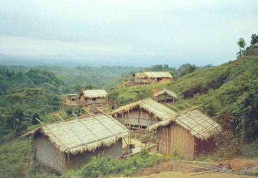 a village on hill, tripura