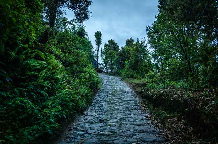 village path in rishop or rishyap